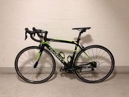 Wilier GT Team Rennrad, Top Zustand!