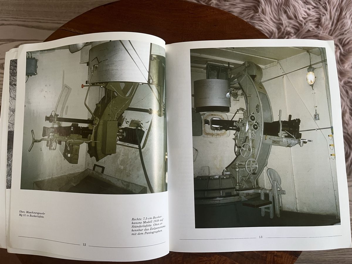 Libri: Festung Heldsberg St. Margrethen – Usato da Romanshorn venduto da Apfelschuss 2