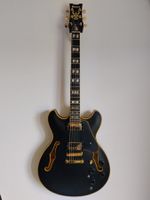 Ibanez John Scofield JSM20-BKL – Jg. 2023