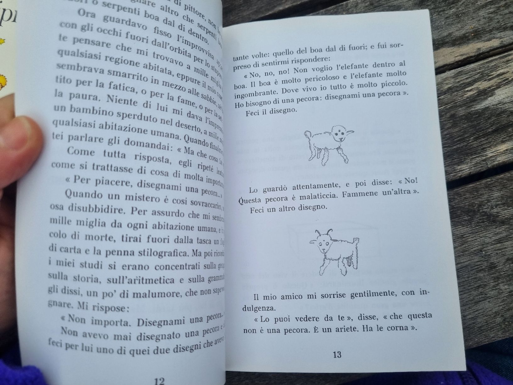 Libri: Il Piccolo Principe, Antoine de Saint-Exupé – Usato da Fribourg venduto da sal_5ln6 7