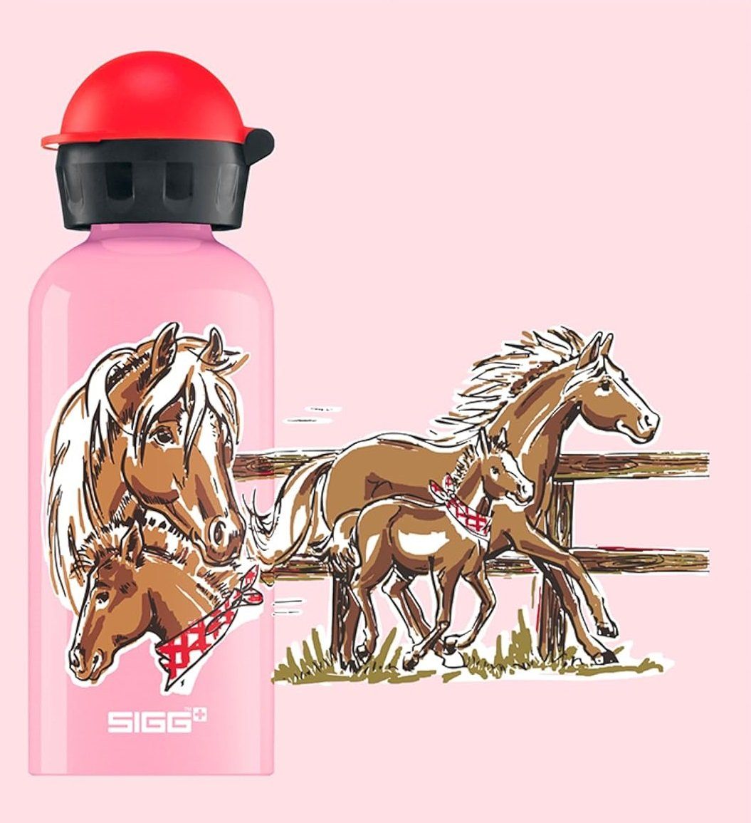 Sigg Gourdes & Thermos: SIGG Trinkflasche Alu 3dl oder 4dl - Auswahl – Neuf avec emballage d'origine à Kägiswil par nick333 1
