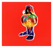 Björk Volta CD Album sehr guter Zustand