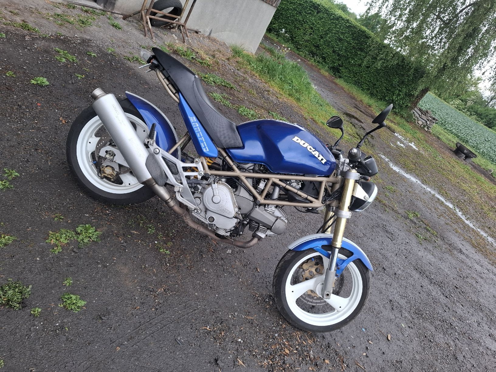 Ducati Strada: Ducati Monster 600 Motorrad wunderschön – Usato da Rotkreuz venduto da Babo21 2