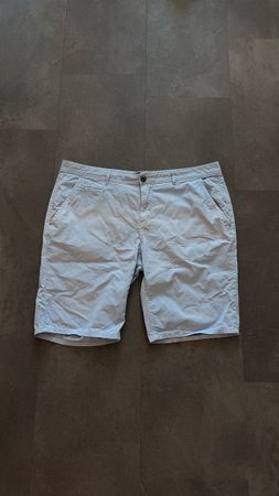 Camp David Shorts