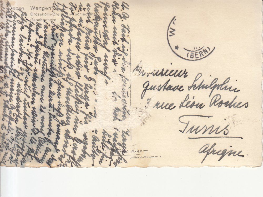 Cartoline postali: Wengen ca. 1945 – Usato da Bürglen TG venduto da StampGraf 1