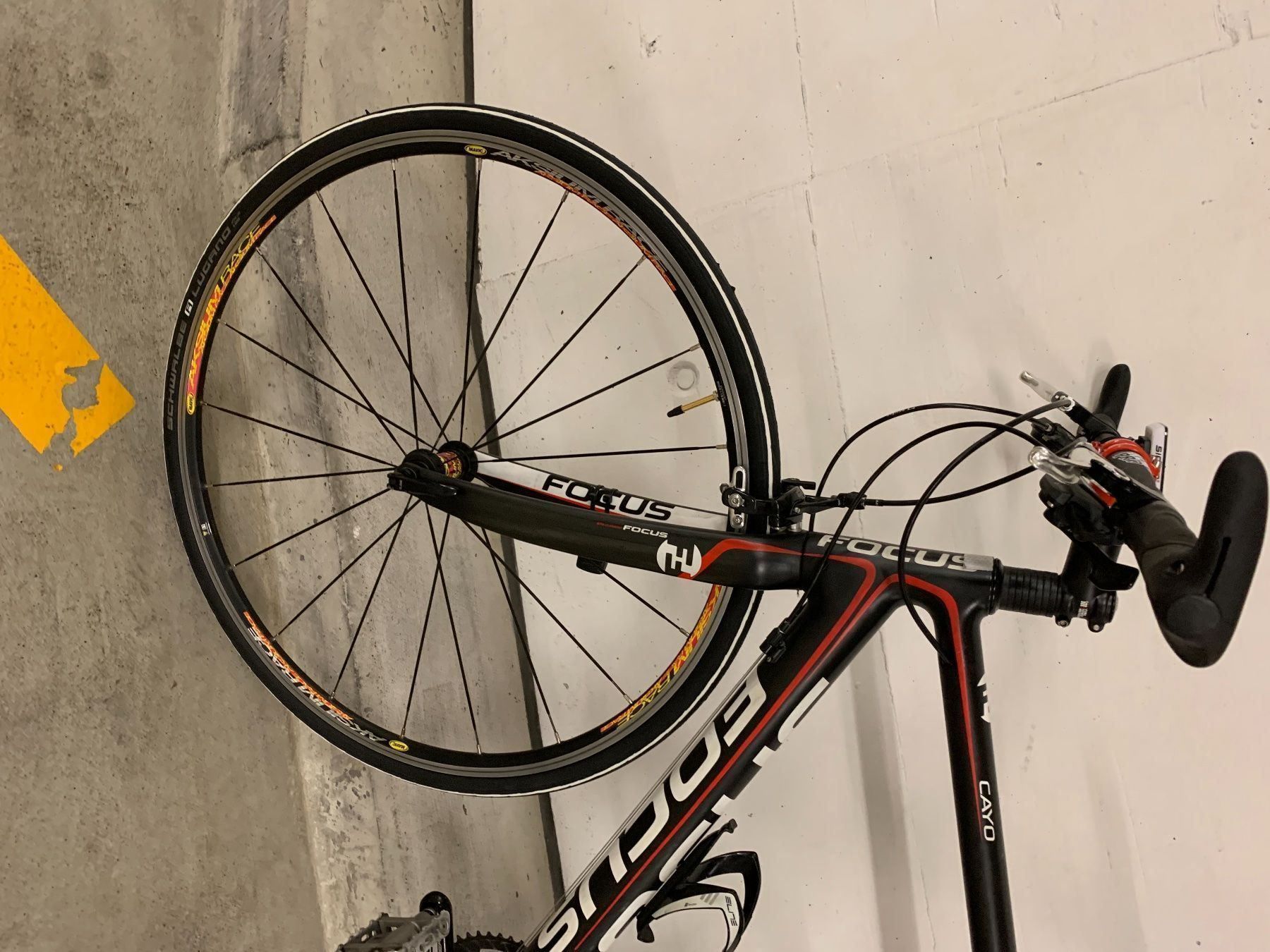 Biciclette: Carbon Rennrad Focus – Usato da Zürich venduto da divertimento4 3