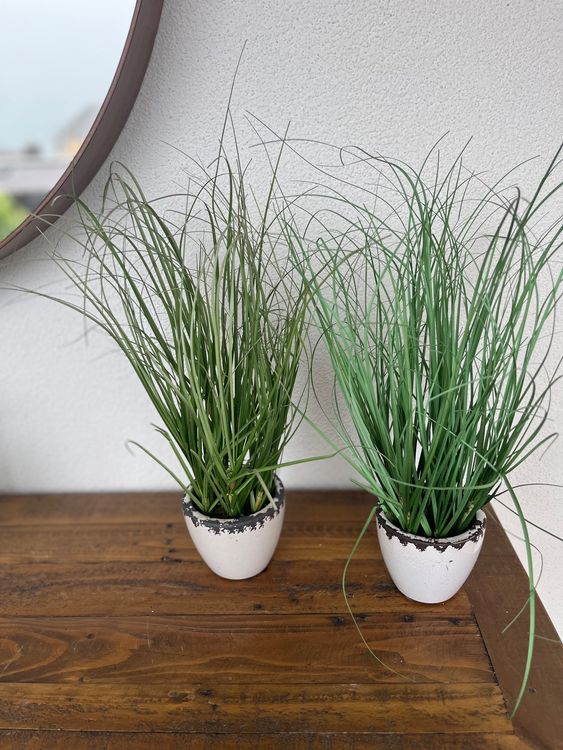 Artificial grass in ceramic pot Kaufen auf Ricardo