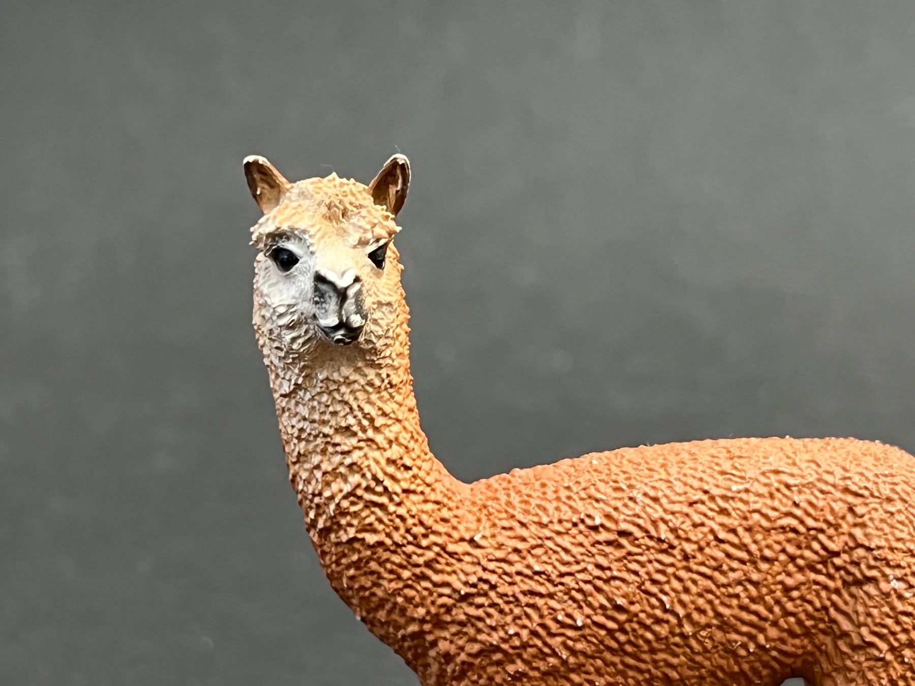 Schleich Statuette: Schleich 13703 Alpaka Hengst – Usato da Ennetbaden venduto da mapa05 2