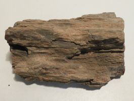 Stein Mineralien - versteinertes Objekt   11 x 8 x 4 cm