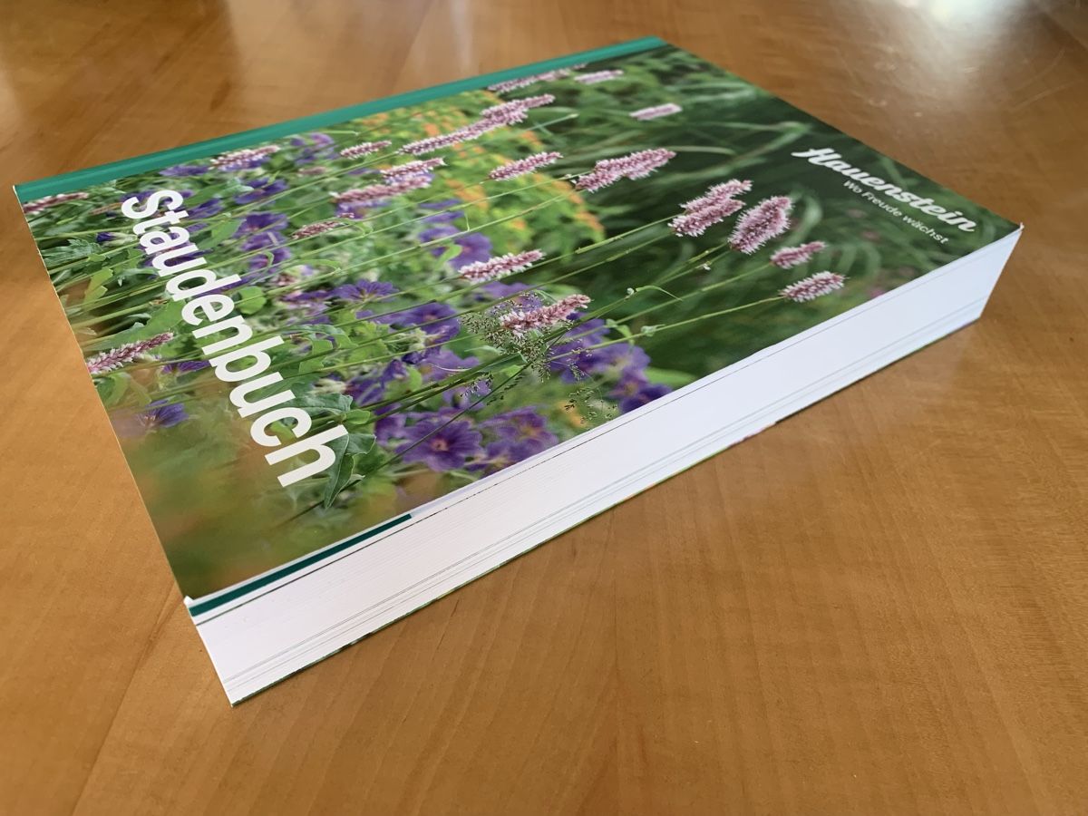 Libri: Staudenbuch der Gärtnerei Hauenstein – Usato da Zürich venduto da Leonieonie. 7