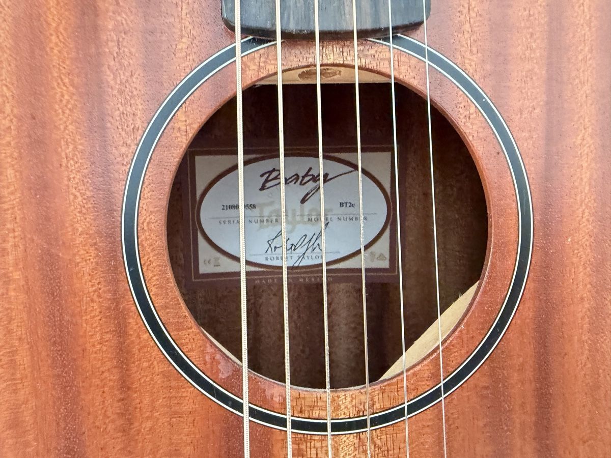 Taylor Strumenti musicali: Taylor BT2e – Usato da Zürich venduto da mw_777 3
