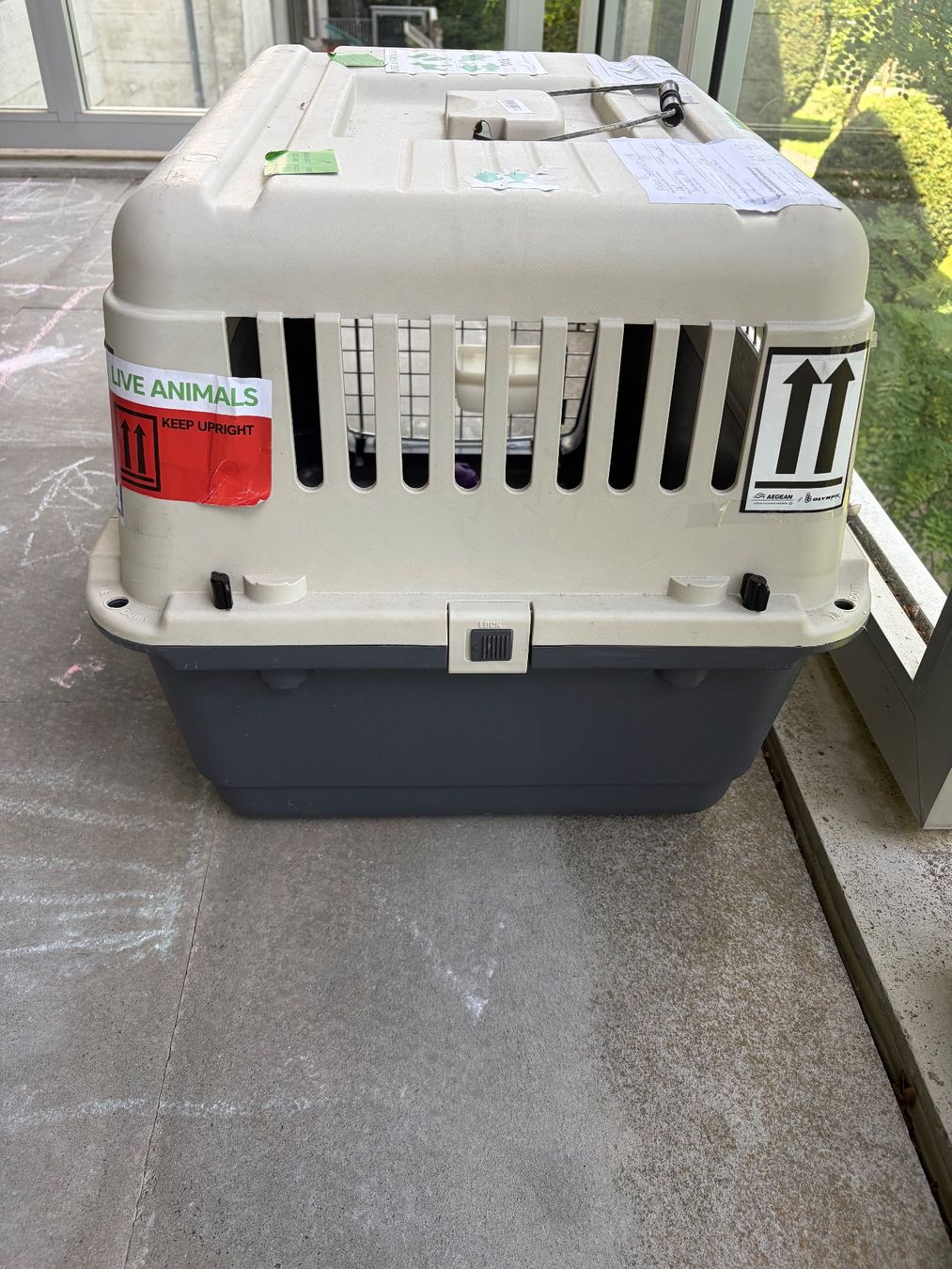 Käfige, Transport & Sicherheit: Hundetransportbox – Gebraucht aus St Gallen von ger_f2bk 2