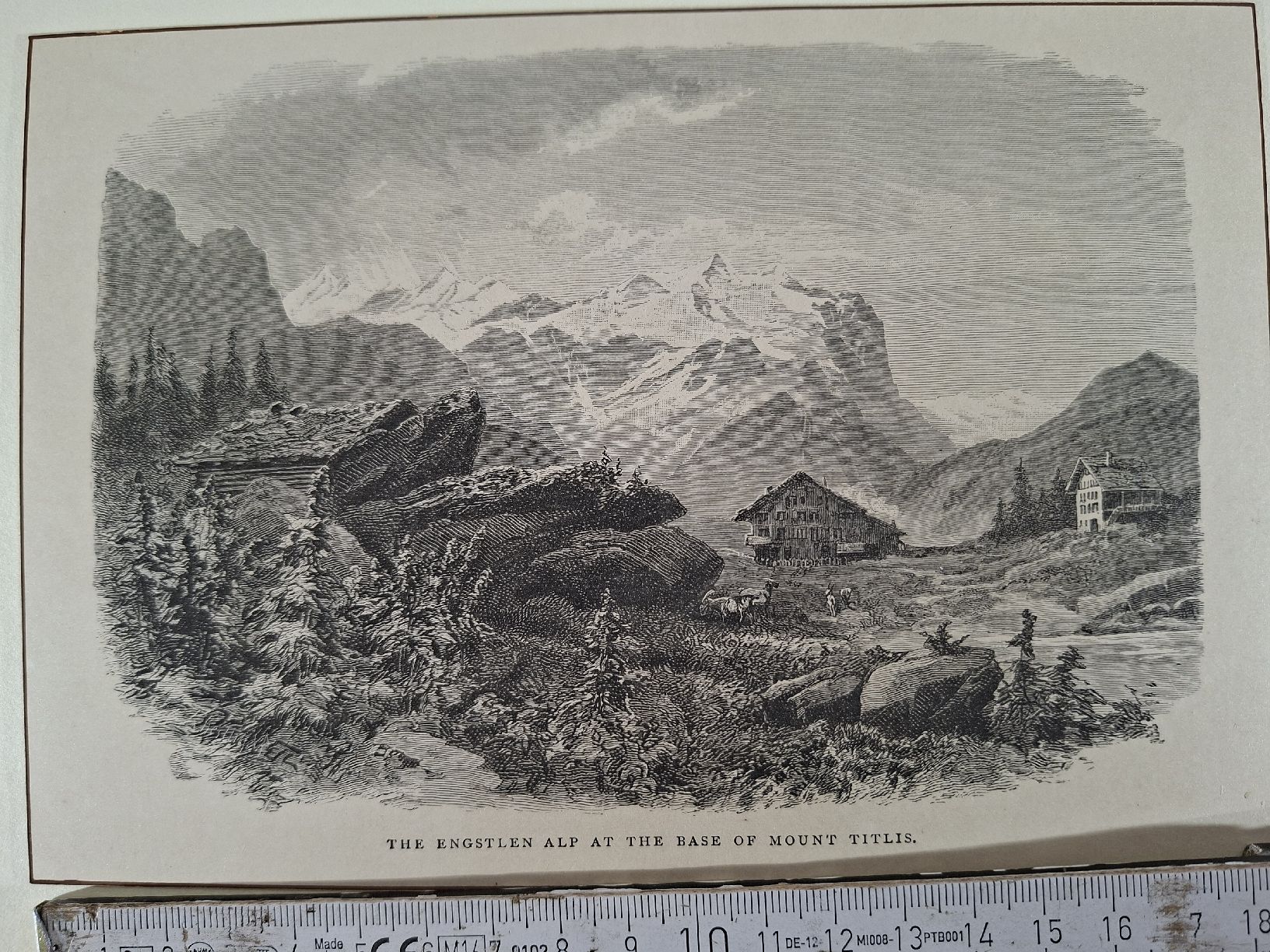 Incisioni: Lot  57 , 10 Stiche  – Usato da Grindelwald venduto da carro5 5