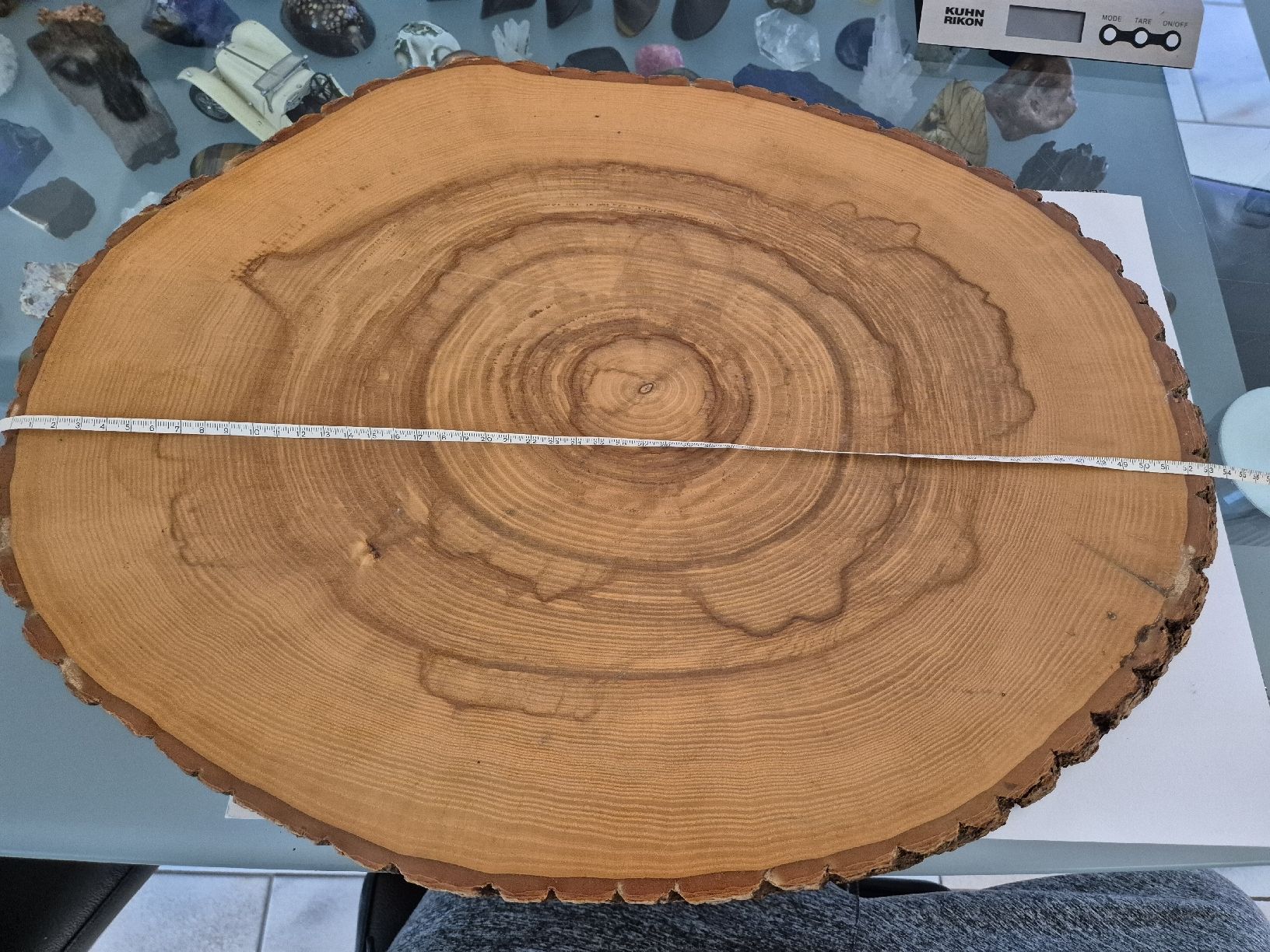 Holzartikel: Baumscheibe Holz mit Rinde 55cm  Unikat Brett Schneidebrett – Gebraucht aus Russikon von eunicetungol 4