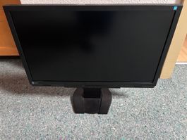 EIZO Monitor
