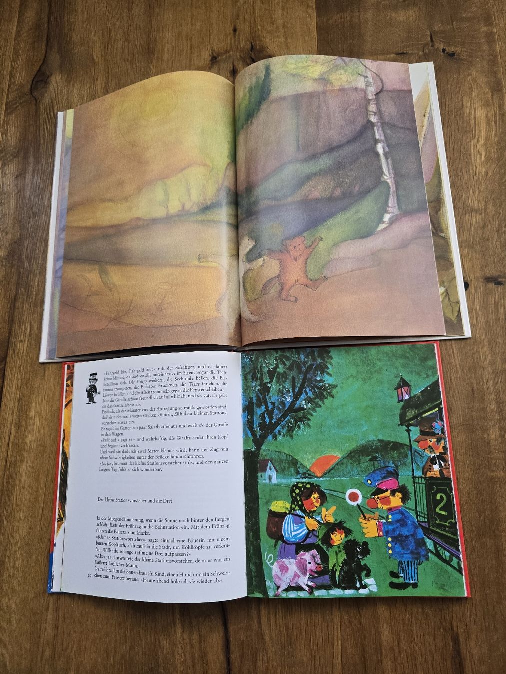 Libri: bücher set – Usato da Wittenbach venduto da Tigerlili 7
