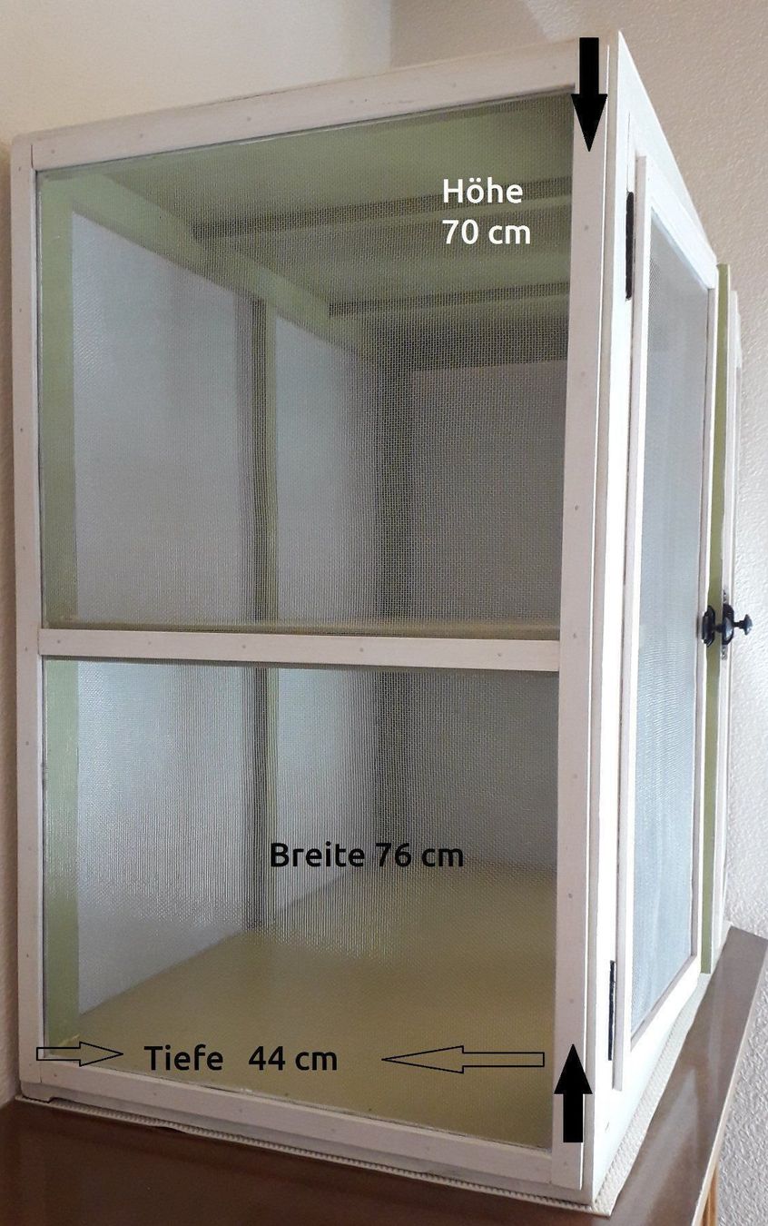 Armadi: Fliegenschrank – Usato da Weinfelden venduto da Grizzly61 2