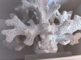 Zara Home Decorative Coral Ornament - chic summer vibe!