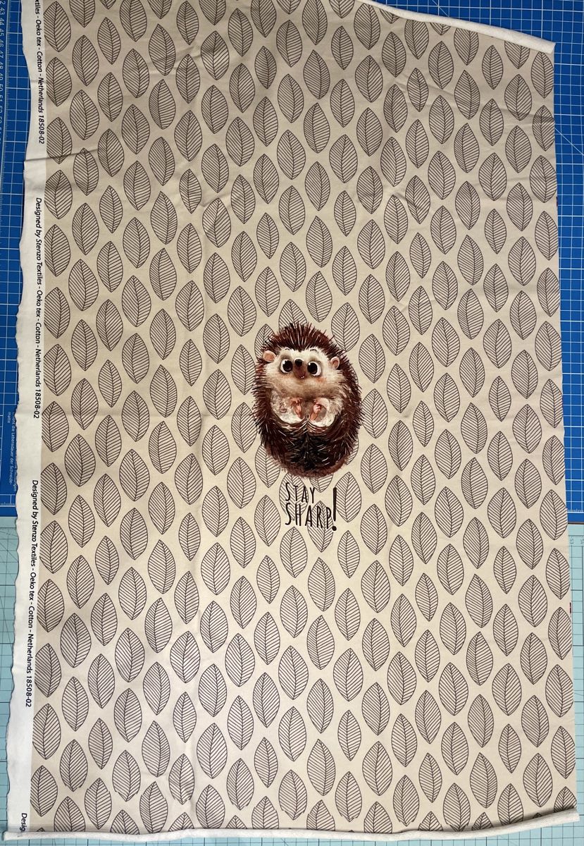 Tessuti: herziges Igel-Panel von Stenzo aus Sommersweat – Nuovo (secondo la descrizione) da Neuendorf venduto da Knopfi