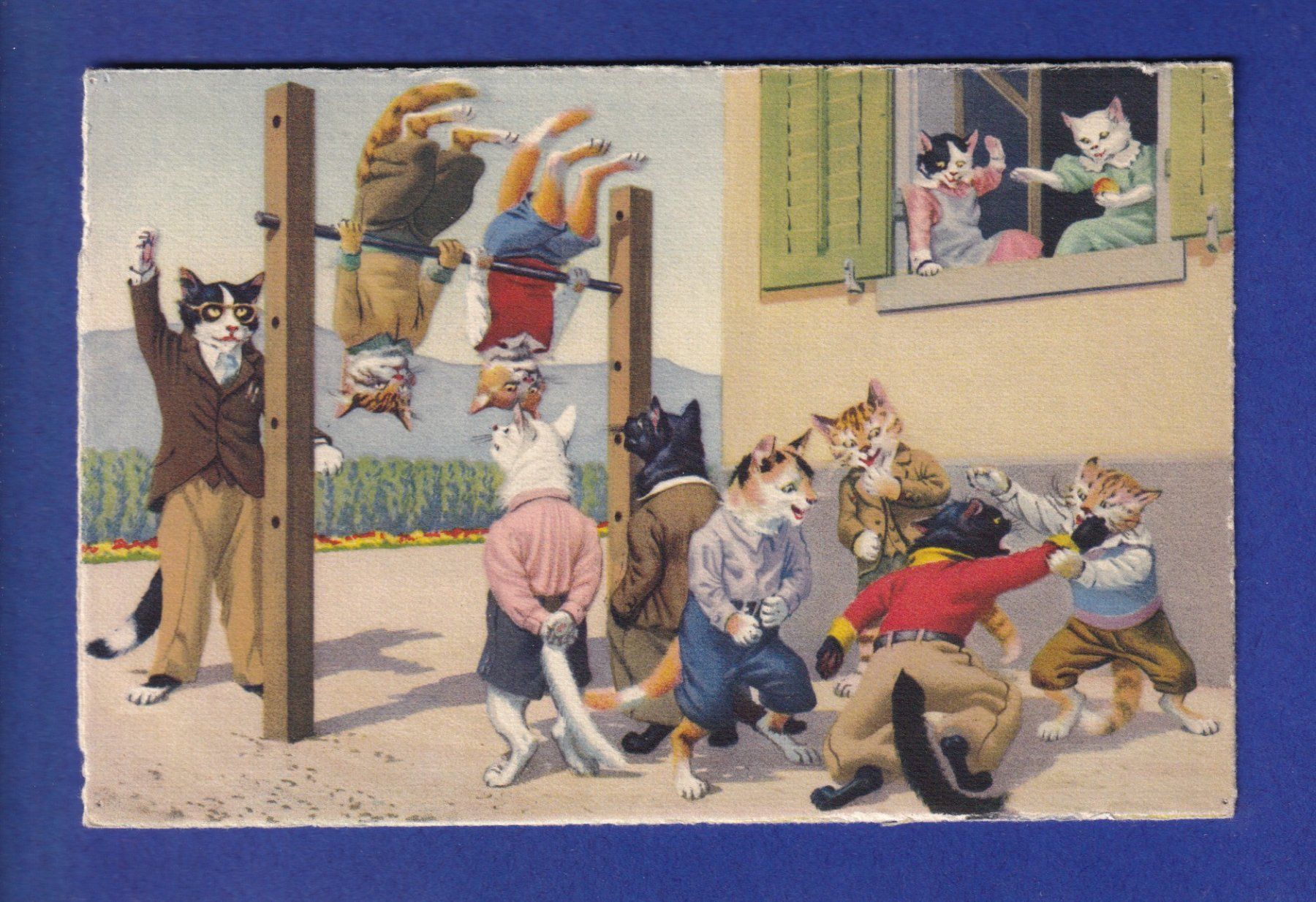 Cartes postales: CHAT - Chat humanisés – D'occasion à Pully par nicecards-shop