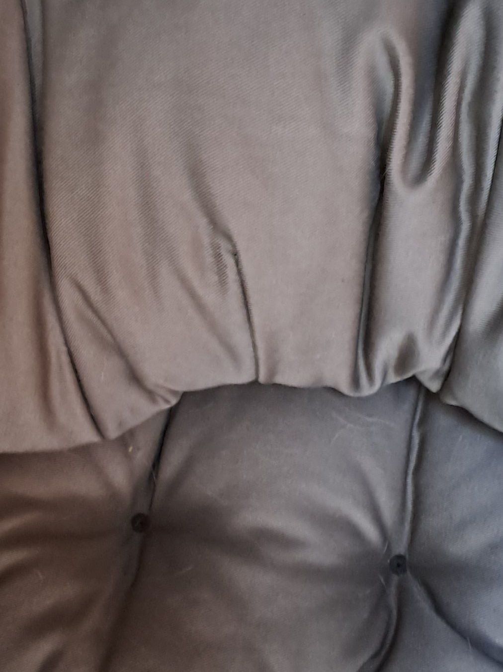 Liege- & Schlafplätze: Hundebett – Neu (gemäss Beschreibung) aus Basel von thi_sd5l 1