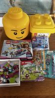 LEGO Collection: Princess,Juniors,Disney Frozen,storage box