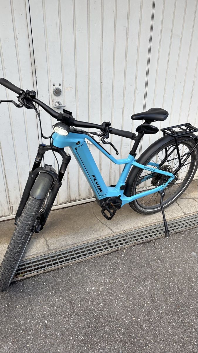 Flyer Biciclette: Flyer E-Bike Goroc 2 / 45km/h – Usato da Sargans venduto da Tomb1