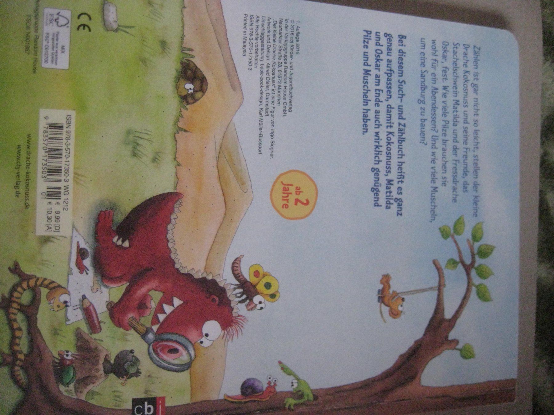 Libri: DER KLEINE DRACHE  KOKOSNUSS – Usato da Uster venduto da flocke1 5