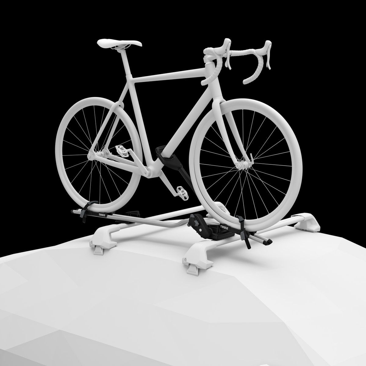 Thule Portapacchi: Thule ProRide 598 Veloträger schwarz, 2er Set – Usato da Niederglatt ZH venduto da trebor12 2