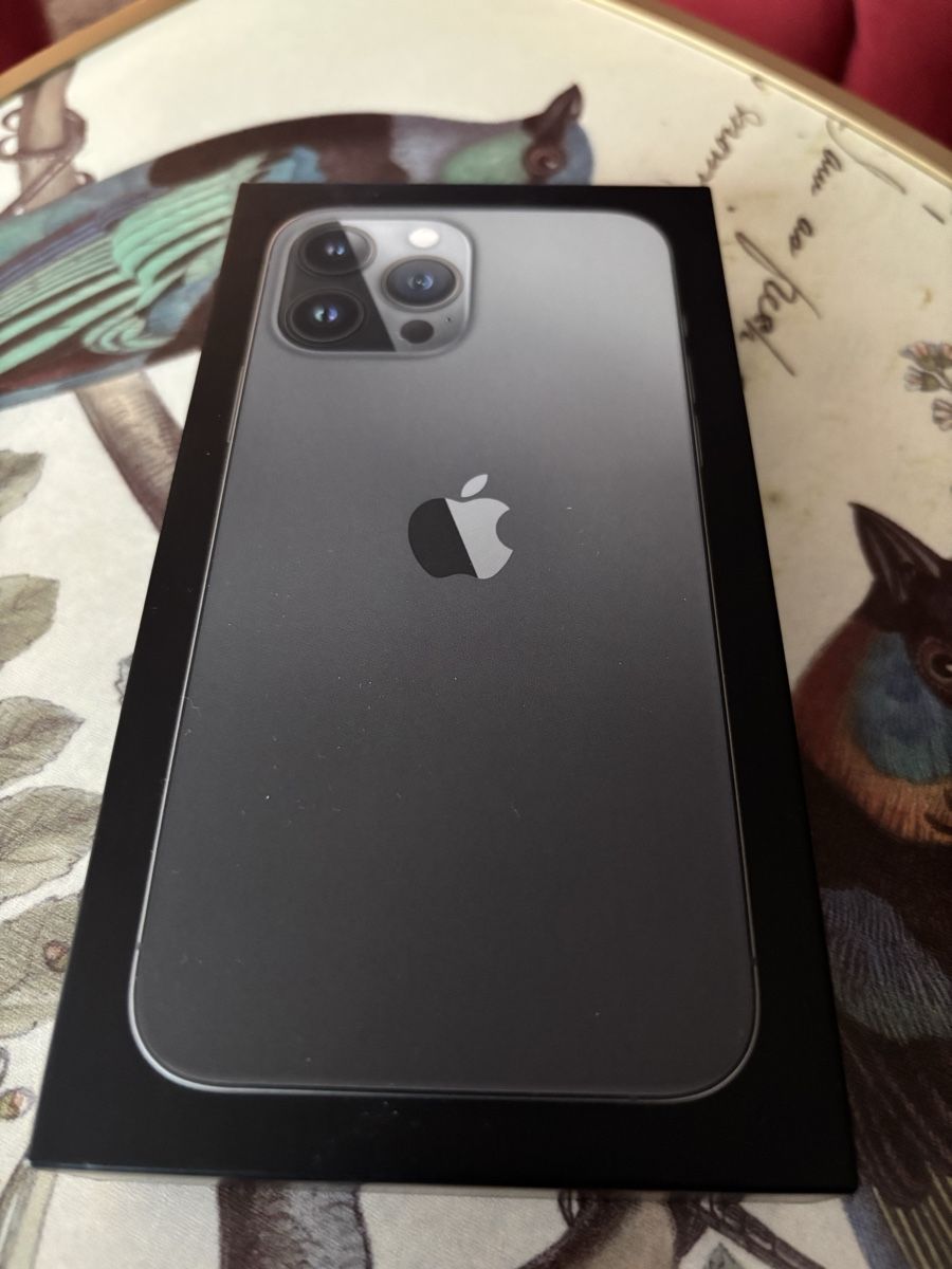 Apple Telefoni cellulari / Smartphones: iPhone 13 Pro Max 1TB Graphit - sehr guter Zustand – Nuovo (secondo la descrizione) da Eglisau venduto da lar_9bzg