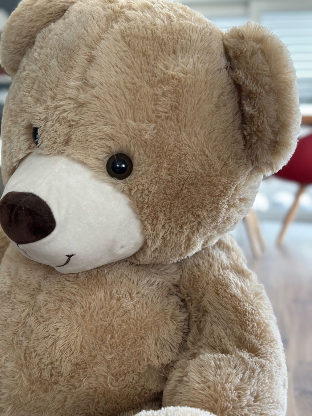 Giocattoli: Grosser Teddybär sucht neues Zuhause – Usato da Wigoltingen venduto da Sashpa 1