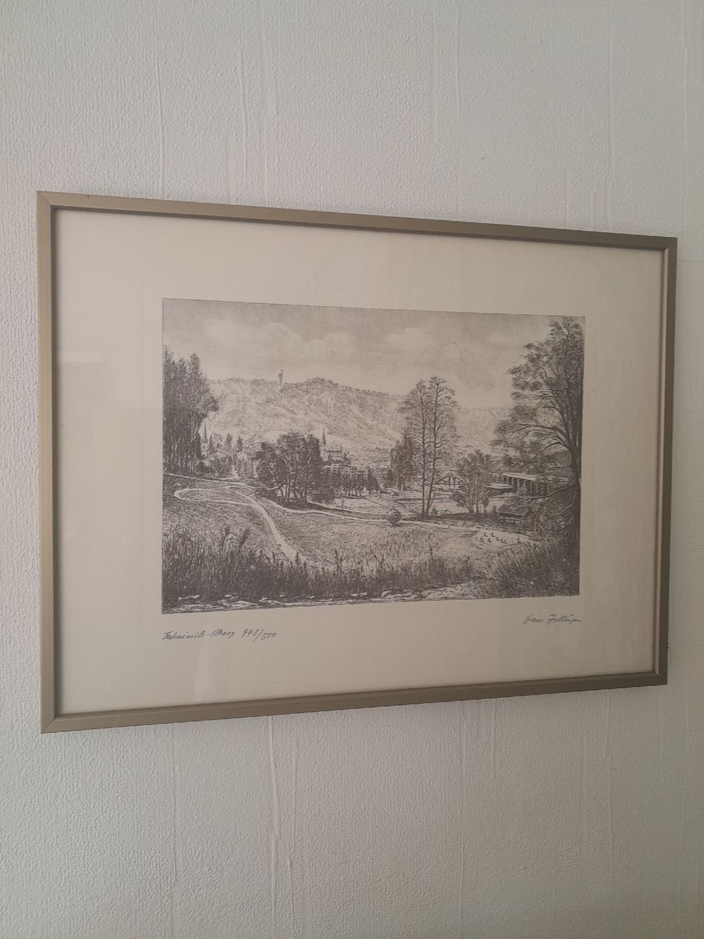 Grafica & Litografie: Landschaftsbild  Hans Zollinger – Usato da Rossrüti venduto da Hansi778 2