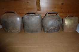 4 Defekte Treichel
