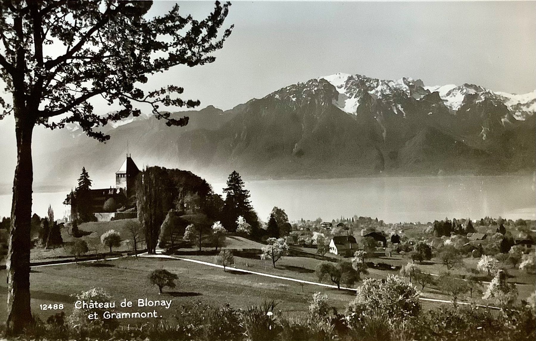 Ansichtskarten: CHÂTEAU de BLONAY et Grammont – Gebraucht aus Root von ENGLAND-TREASURES 1