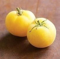 TOMATE PECHE VELUE (Garden Peach) 10g