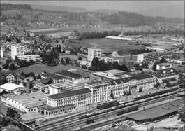 Zofingen AG // Ringier Verlagsanstalt // Sommer