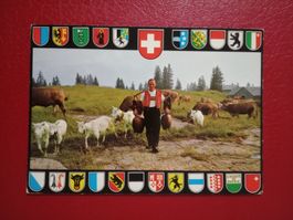 Sellamatt SG Senn Treichlen Kühe Ziegen