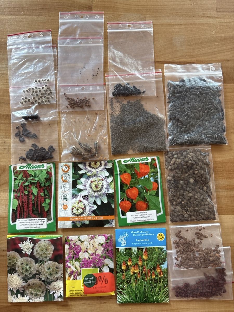 Plantes & graines: Samen Sammlung – D'occasion à Rümlang par Fledermaus35