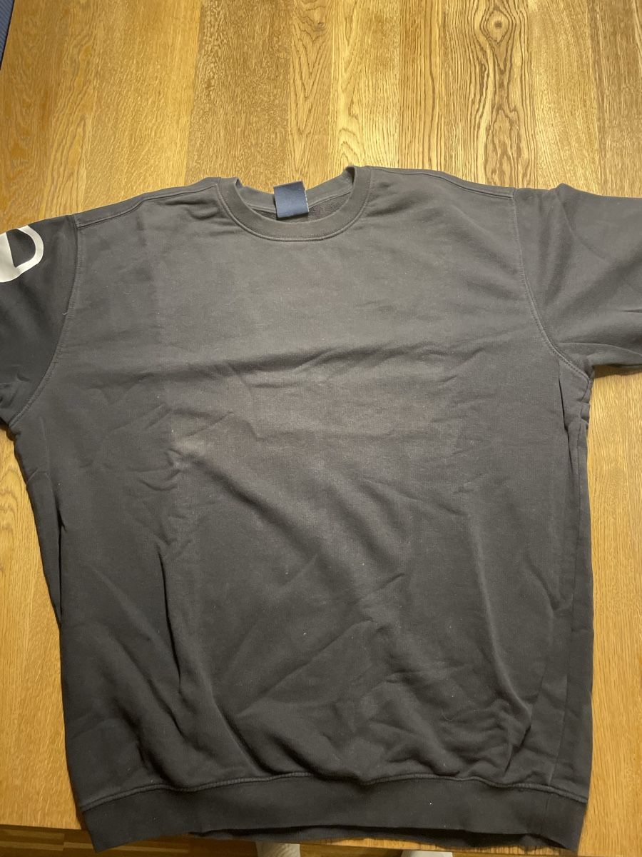 Champion Maglioni & Felpe: Champion Sweatshirt – Usato da Bülach venduto da tiagodcc