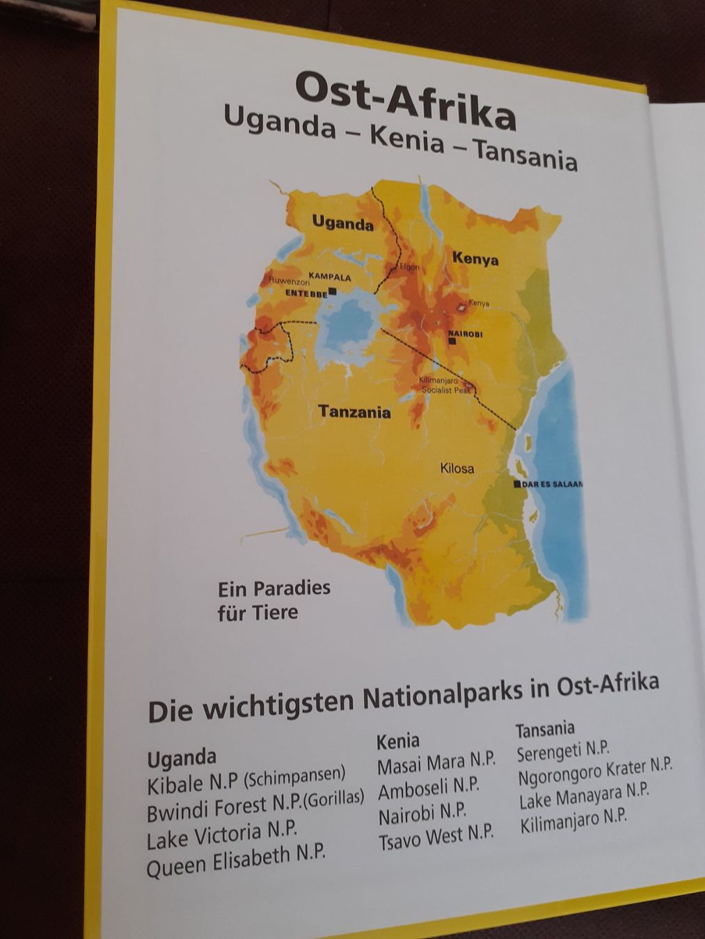 Libri: Tierbuch, Afrikas Wildtiere entdecken! – Nuovo e nell'imballaggio originale da Yverdon venduto da DerStorchUndDieBiene 2