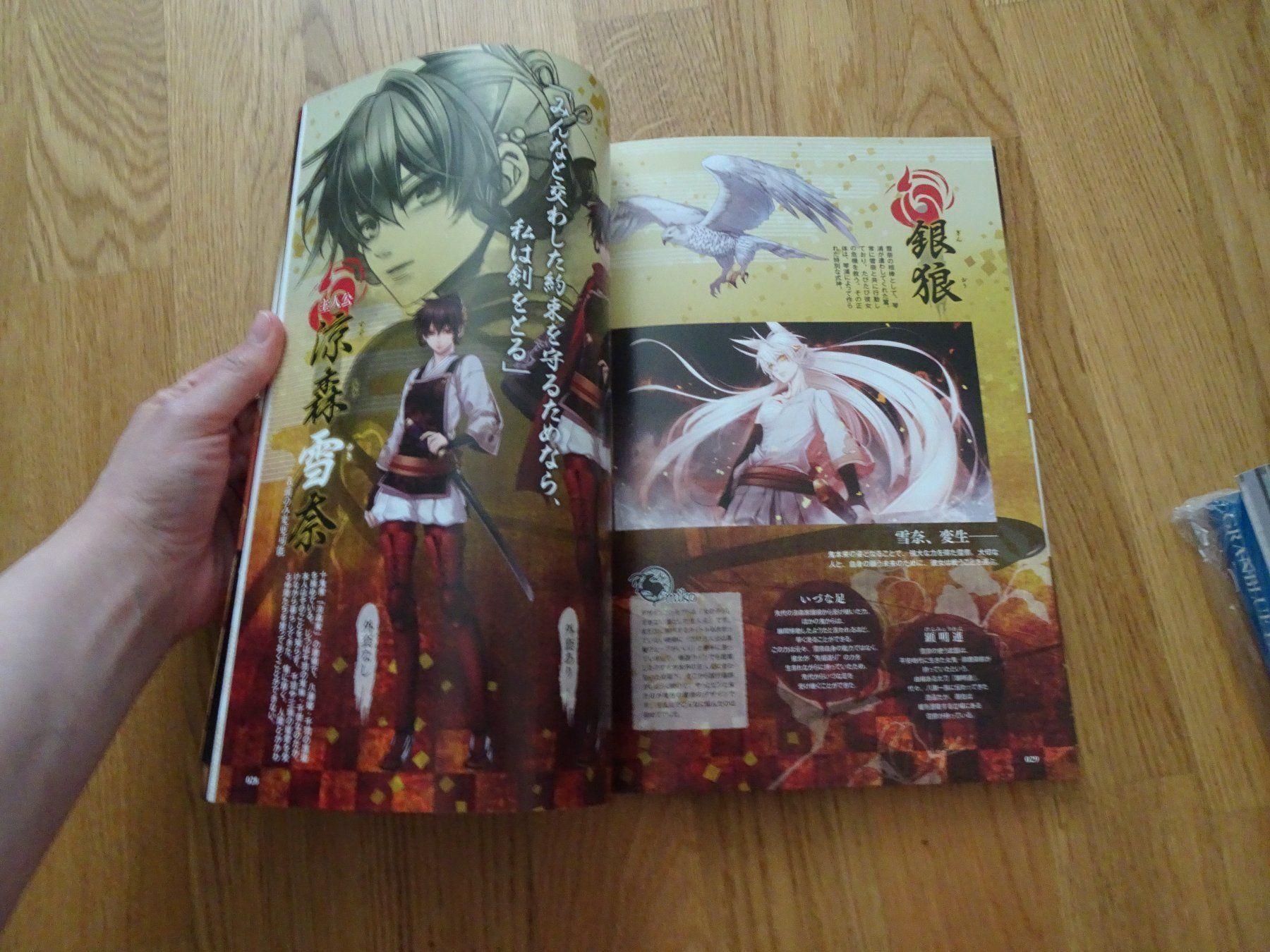 Libri: Toki no Kizuna Artbook – Usato da Bern venduto da Maronn 4