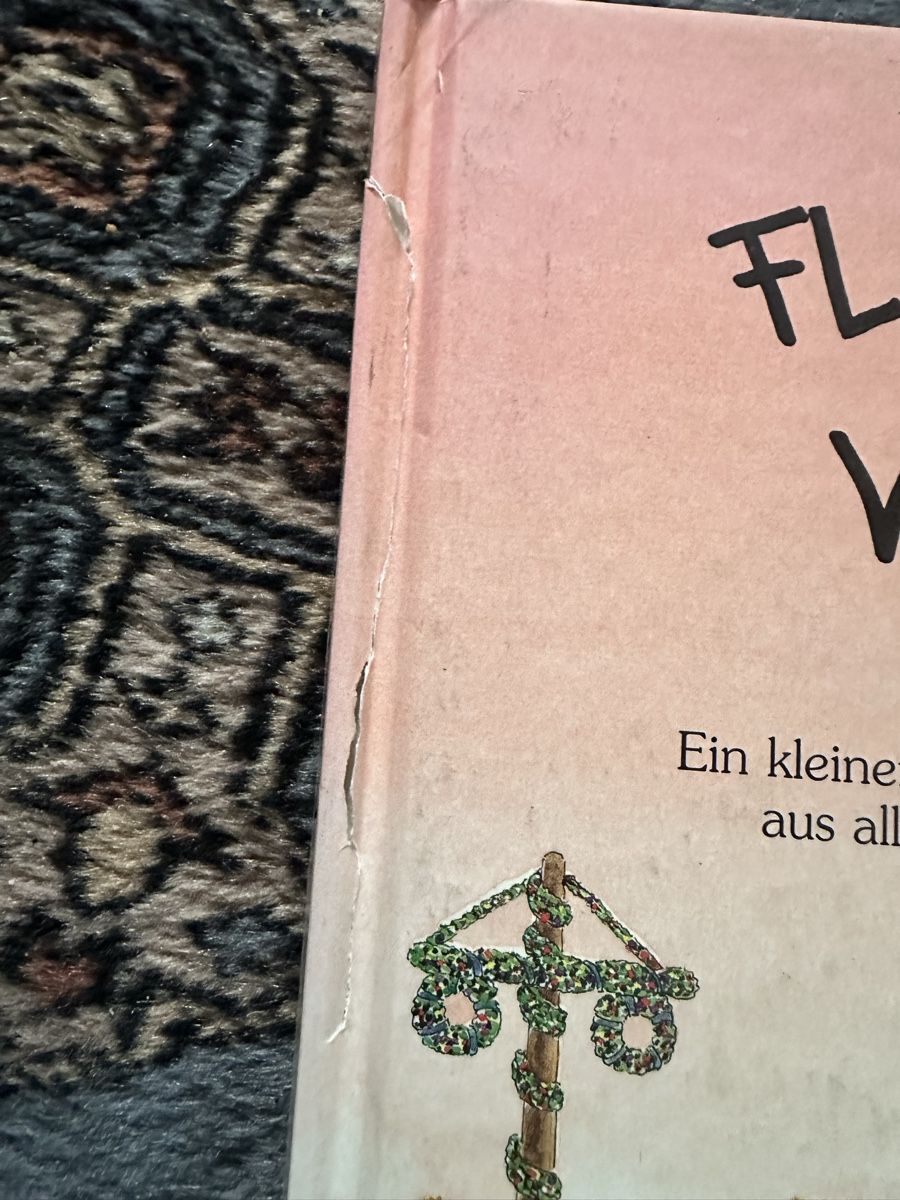 Libri: FLSHENPOST von Felix – Usato da Uster venduto da bek_v2ct 1