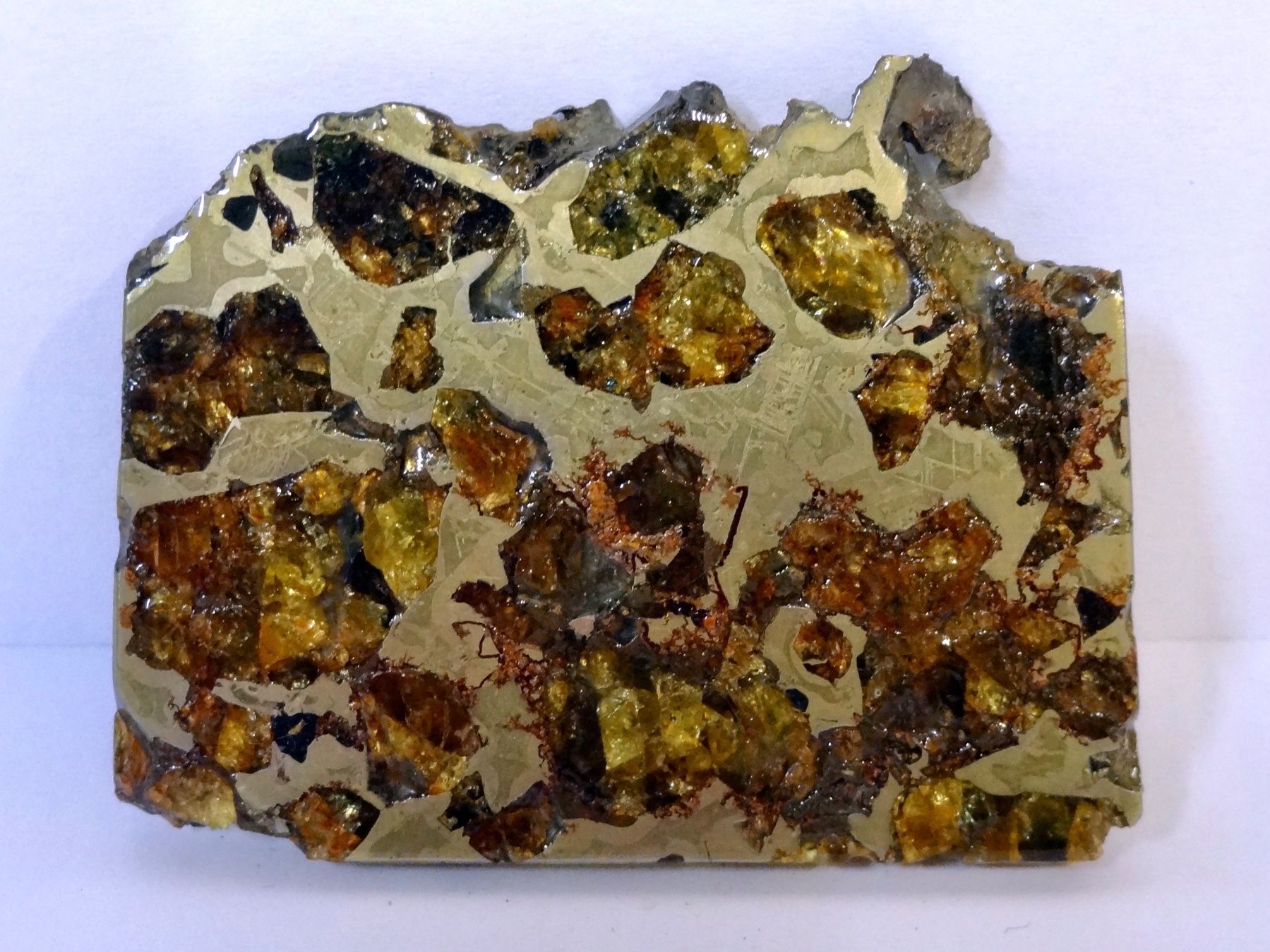 Minerali & Pietre curative: Meteorit PALLASIT Eisen-Stein-Meteorit BRAHIN BELARUS – Nuovo (secondo la descrizione) da Kerzers venduto da djstarsky73 5