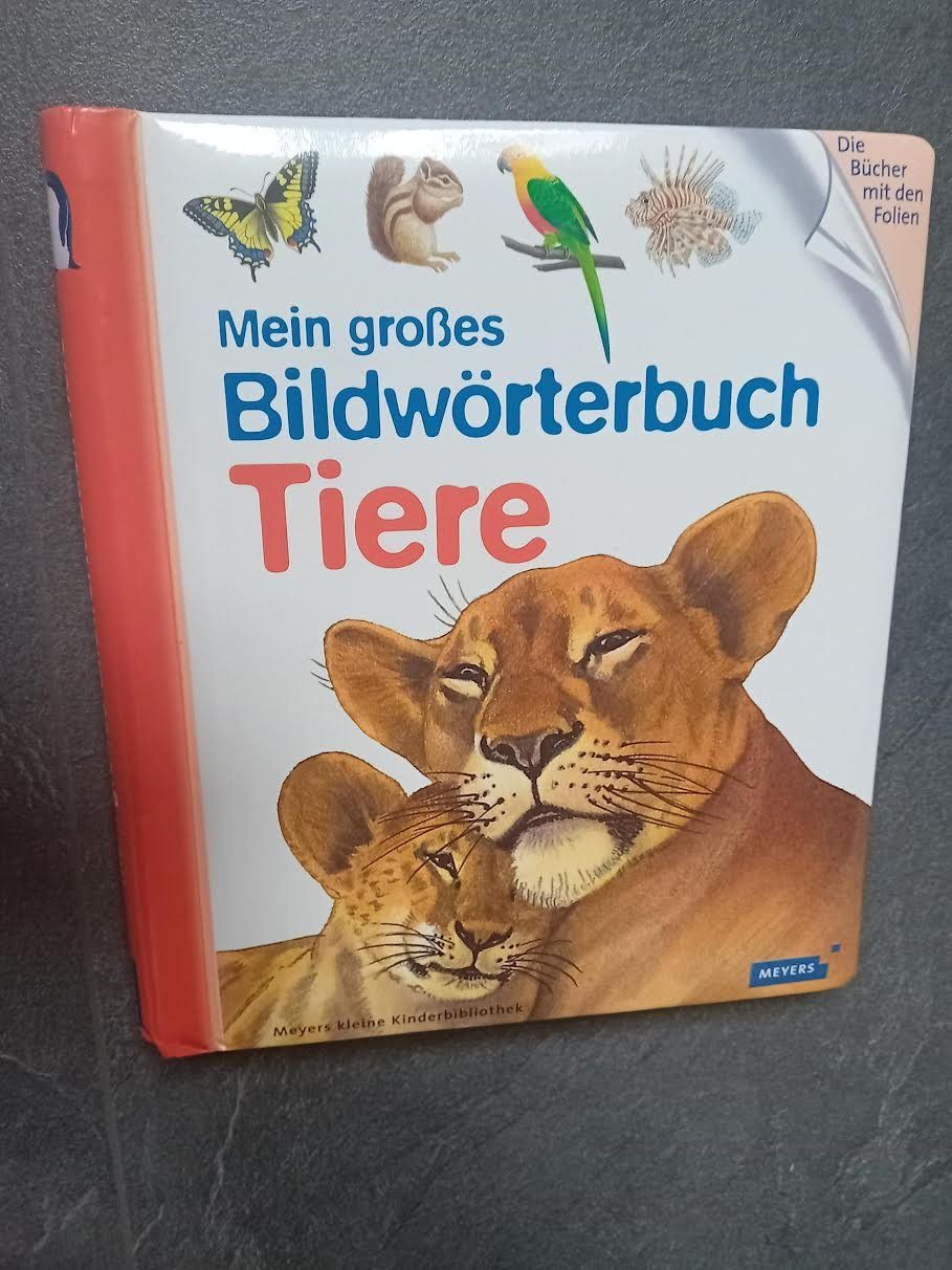 Libri: Tierbuch "Mein grosses Bildwörterbuch Tiere" – Usato da Salez venduto da Robe12