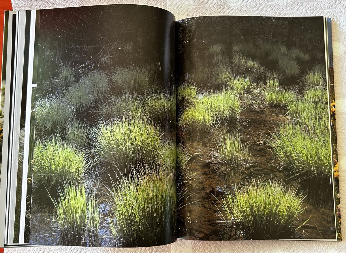 Libri: Die Wiese lebt, Silva-Verlag 1992 – Usato da Lengnau BE venduto da AgriOttu 4