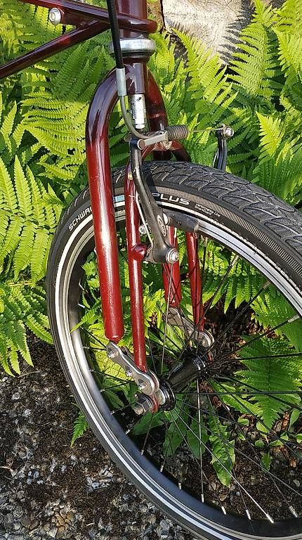 Biciclette: Moulton tsr – Usato da Thierachern venduto da Velo1970 2