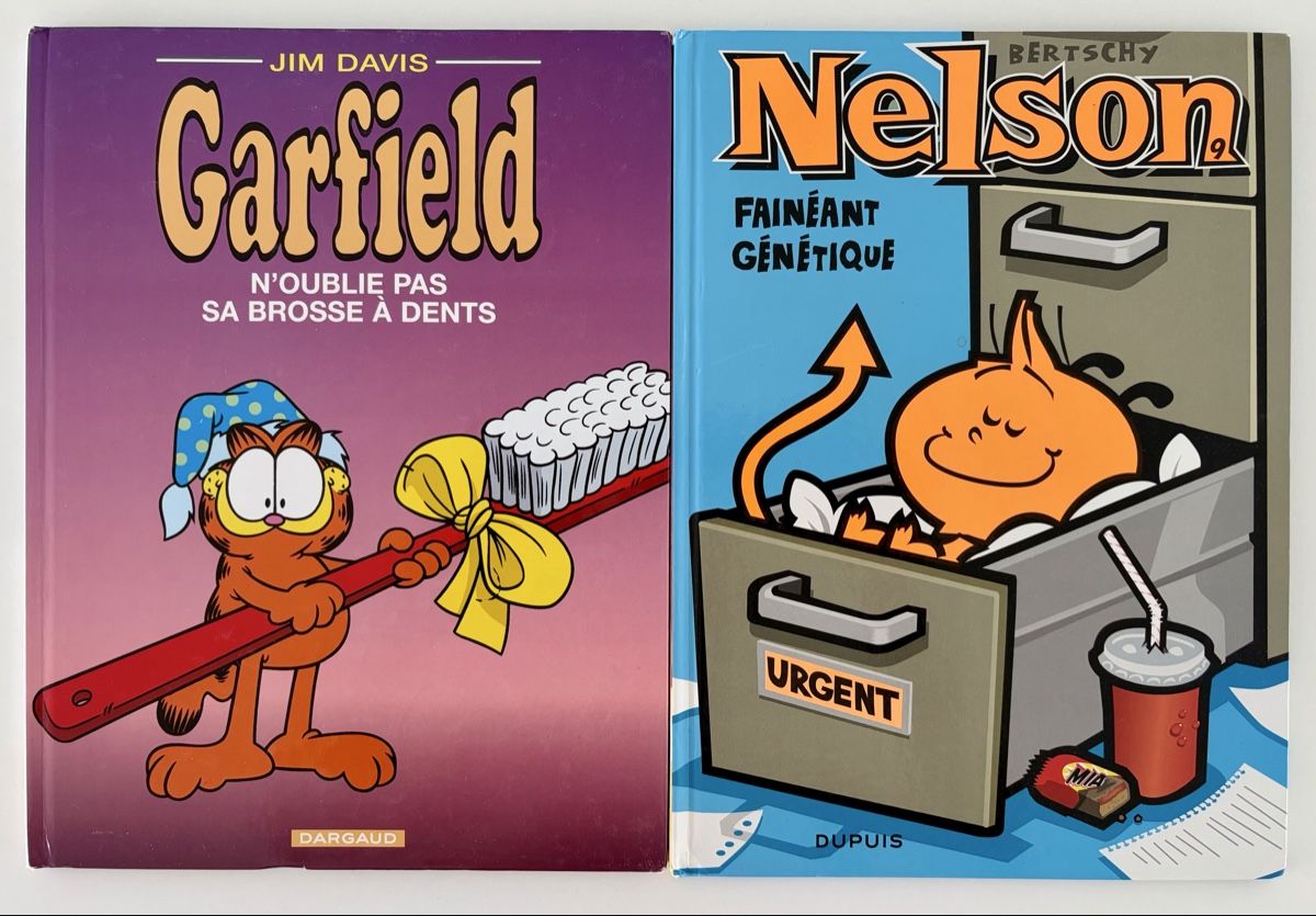 BD: Lot exceptionnel de 16 BD à prix cassé !!! – D'occasion à Fribourg par Robinson77 3