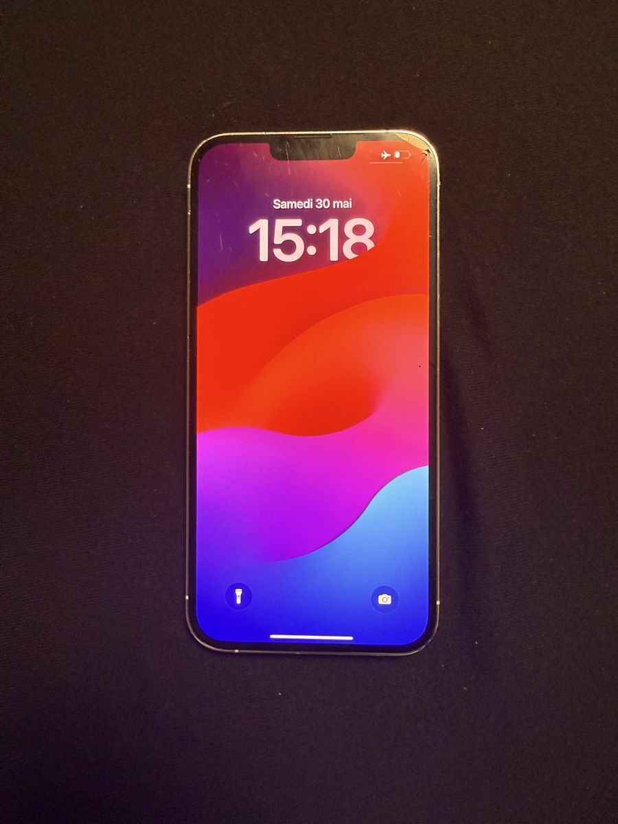 Apple Telefoni cellulari / Smartphones: Iphone 13 Pro Max 256 GB – Usato da Echandens venduto da Milos.24 2