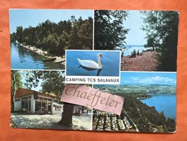  TCS Camping Salavaux, Lac de Morat. Murten See