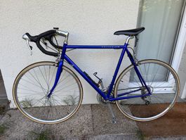 Rennvelo Vintage Criterium Blau